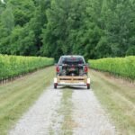 Stirling 5-ft x 8-ft Steel Utility Trailer ( 1250-lb Capacity ) 5266161 - Image 9