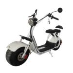 eDrift Fat Bear Fat City Electric Fat Tire Scooter – Dual Suspension, 28 Mile Range, Dual Battery Storage [PREORDER 6-8 WEEKS] - Image 2